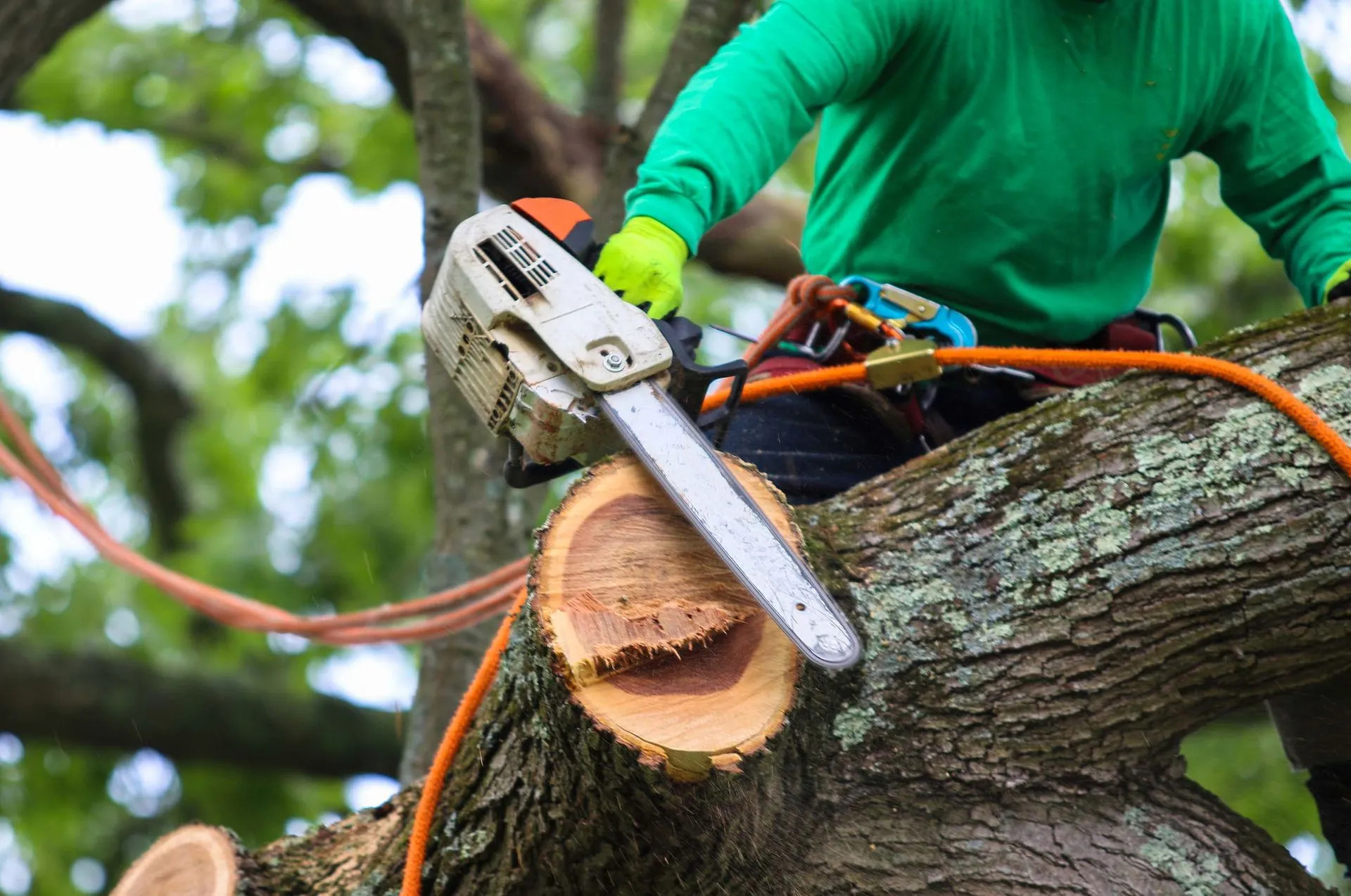 Tree-Removal
